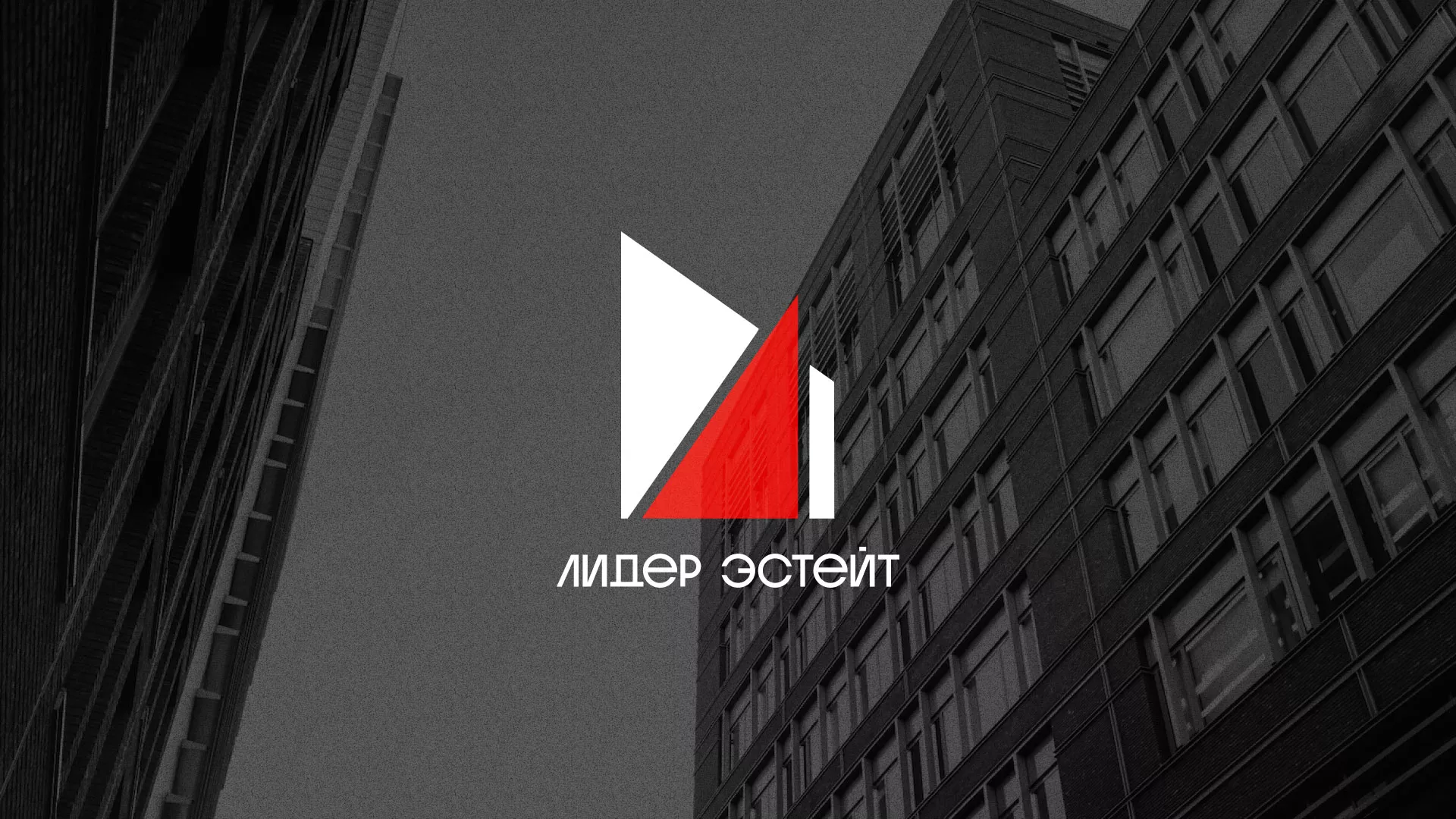 Сделали логотип для агентства недвижимости «Лидер Эстейт» в Киришах